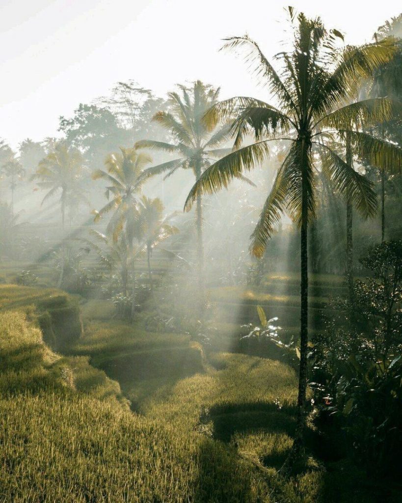 Ubud Bali