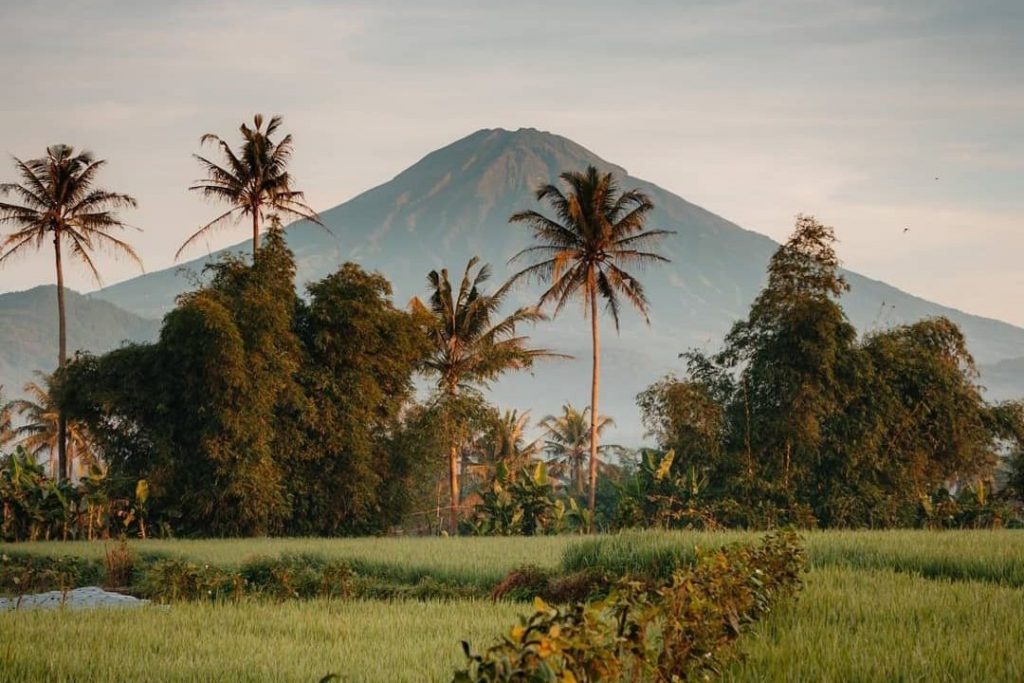 receptivo en Bali para agencias