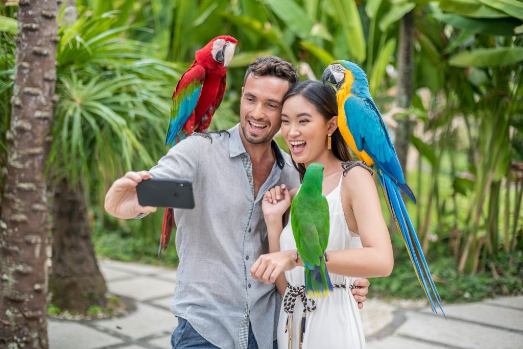 Parque temático de aves de miles de especies en Bali