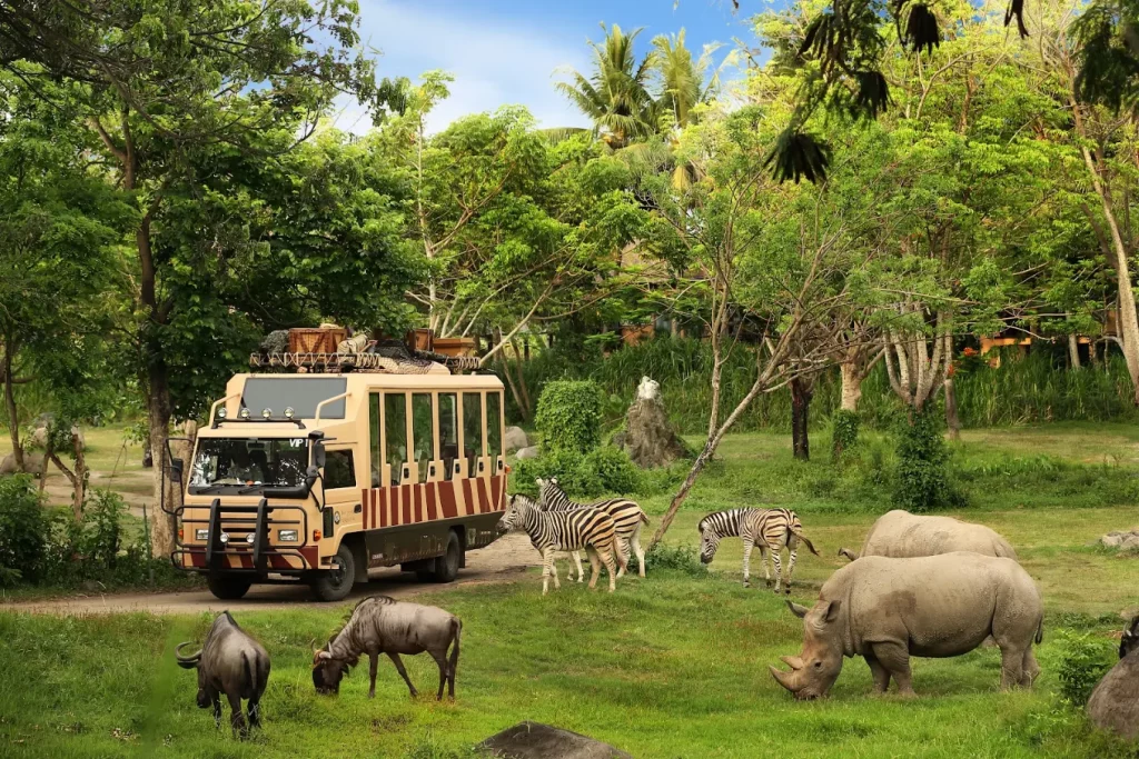 Un safari con un recorrido en jeep